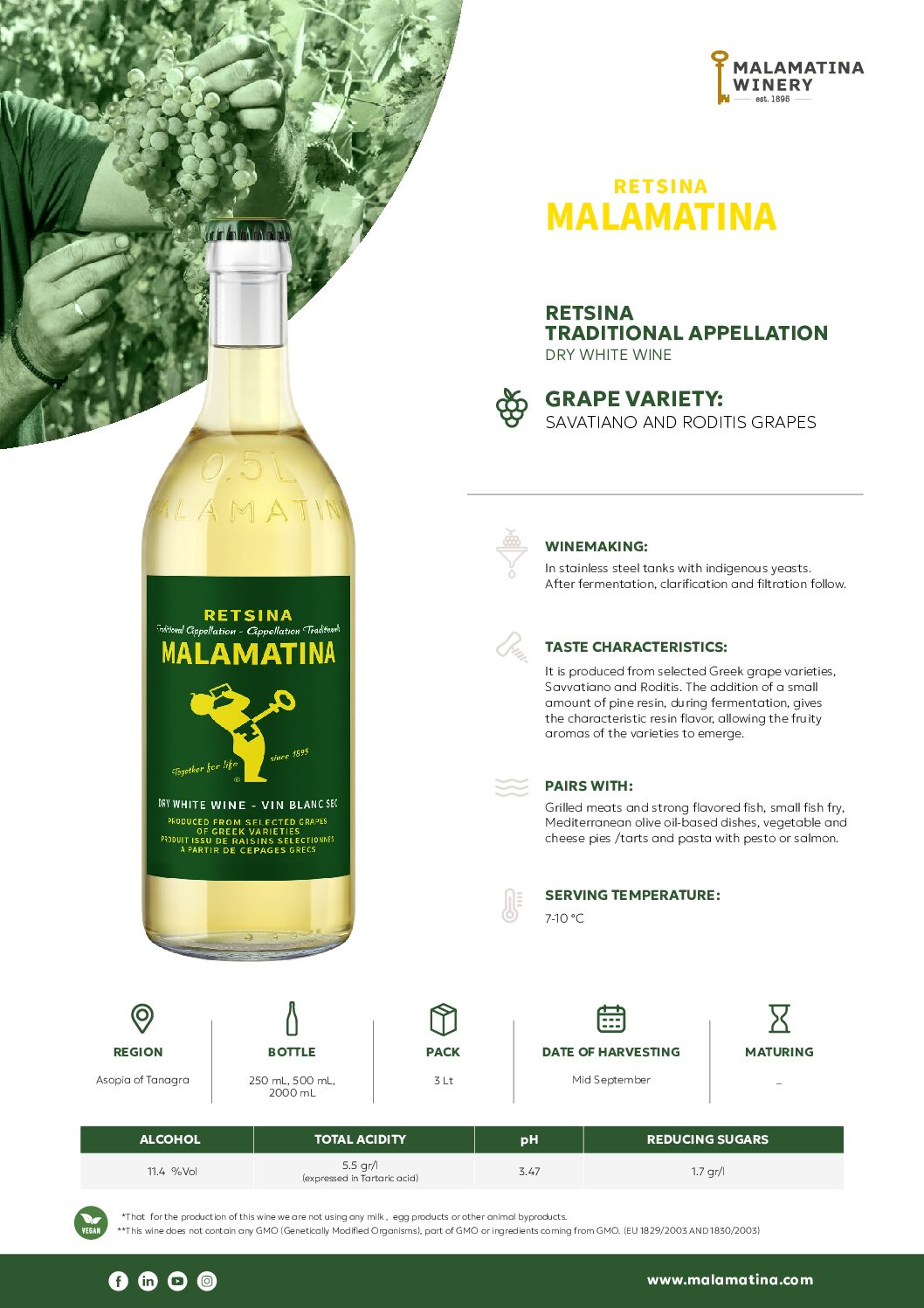 Vin alb, Retsina Malamatina 500ml - imagine 2